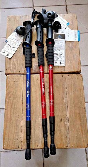 3 trekking poles on a board