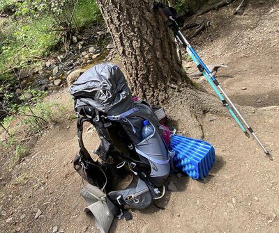 backpack beside a tree