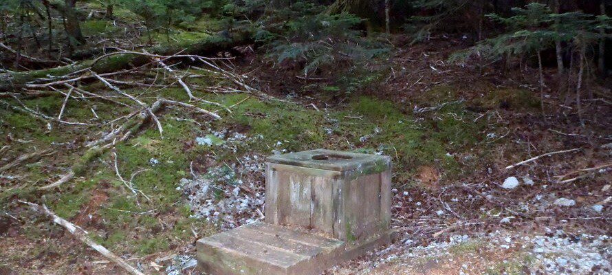 toilet in the middle of the woods