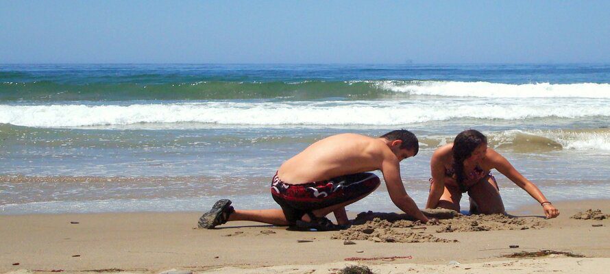 man and woman beach combing