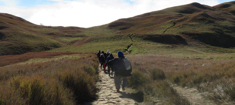 hikers walking with mountain in the background