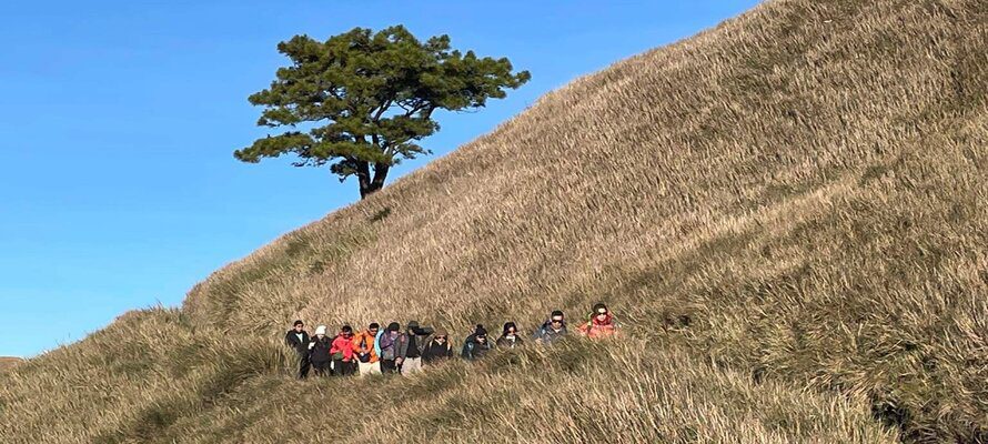 hikers with a tree in the background