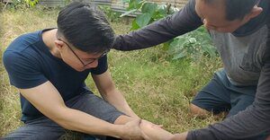 How to Avoid Snakes While Hiking (My Trail-Tested Guide) snake bite remedy