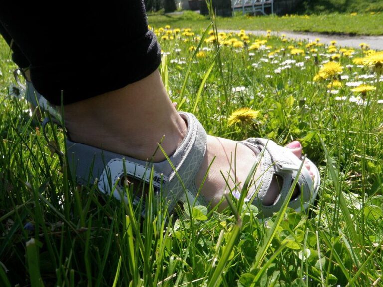 Hiking Shoes vs Hiking Sandals (When to Use Each of Them) using hiking sandals vs hiking shoes