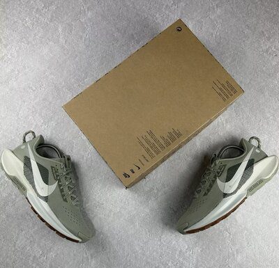 Pegasus Trail 5 ReactX