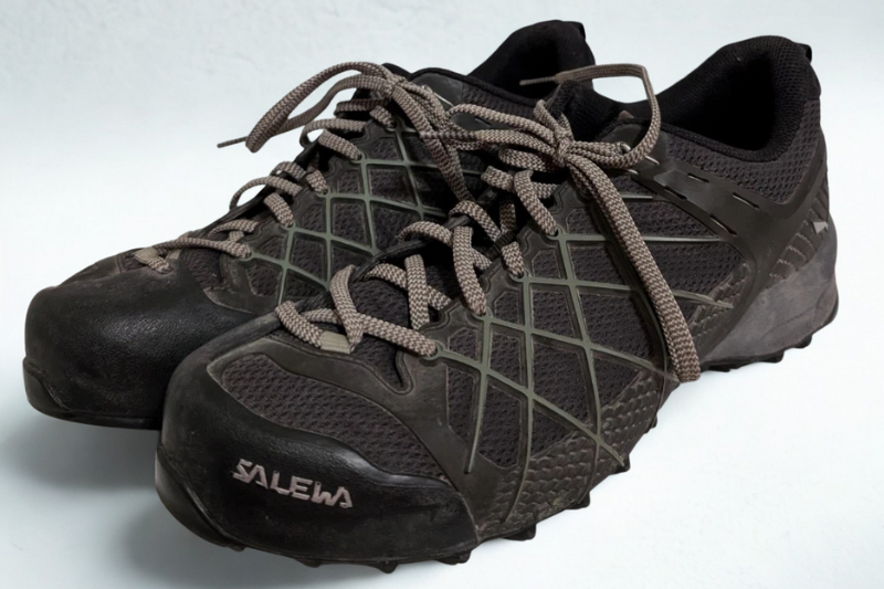Salewa Wildfire 2 Gore-Tex Review (Full 2026 Analysis) Salewa Wildfire Pair