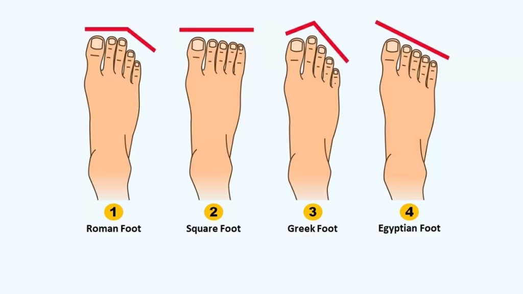 The Ultimate Outdoor Footwear Guide (All Types Explained & More) Four illustrations depict different foot shapes: Roman, Square, Greek, and Egyptian. Each is labeled with a distinct toe alignment and line above.