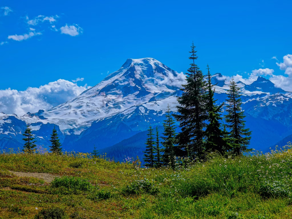 Mountaineering Beginners Guide: Preparing Your First Ascent Snow-capped mountain under clear blue sky, with green meadow and pine trees in the foreground. Clouds hover around the peak, conveying tranquility.
