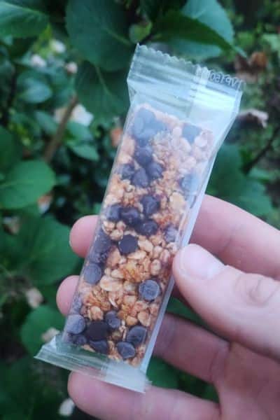 Multi-Day Hiking Nutrition: Expert Tips by Nancy Clark Granola Bar in wrapper held in hand