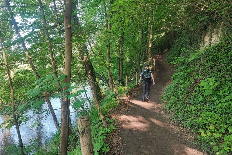 Hiking With Flat Feet: Expert Guide to Stronger Arches on the Trail Women hiking a suthern section of the Pieterpad trail in The Netherlands