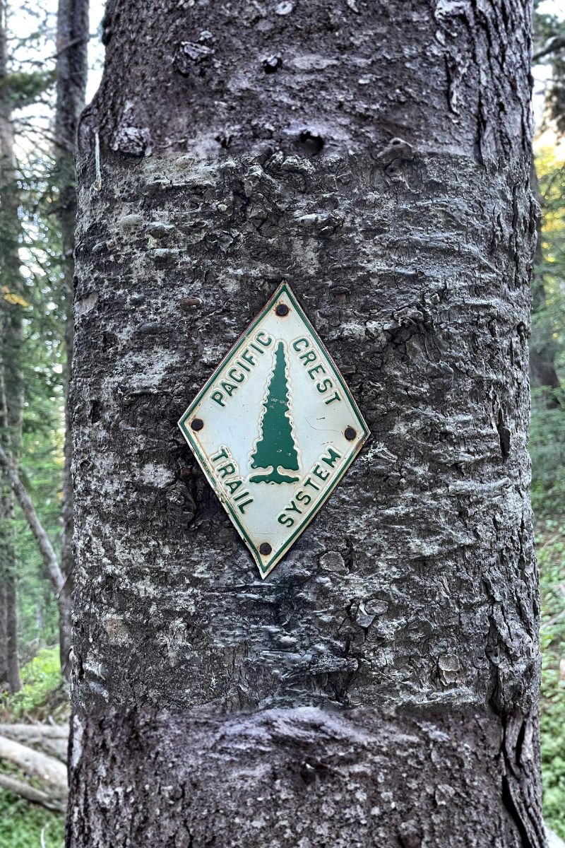 Pacific Crest Trail Guide (Thru-Hike Planning Tips) A navigation sign on a tree along the PCT