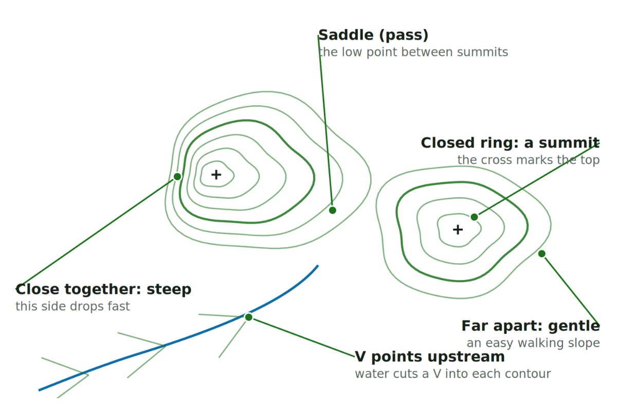 Hiking Terms: The Complete Trail & Gear Glossary. Sketch of a topographic map with two summits: contour lines close together on one side meaning steep ground, far apart meaning gentle, closed rings marking summits, a saddle between the peaks, and a stream crossing the contours in V shapes that point upstream