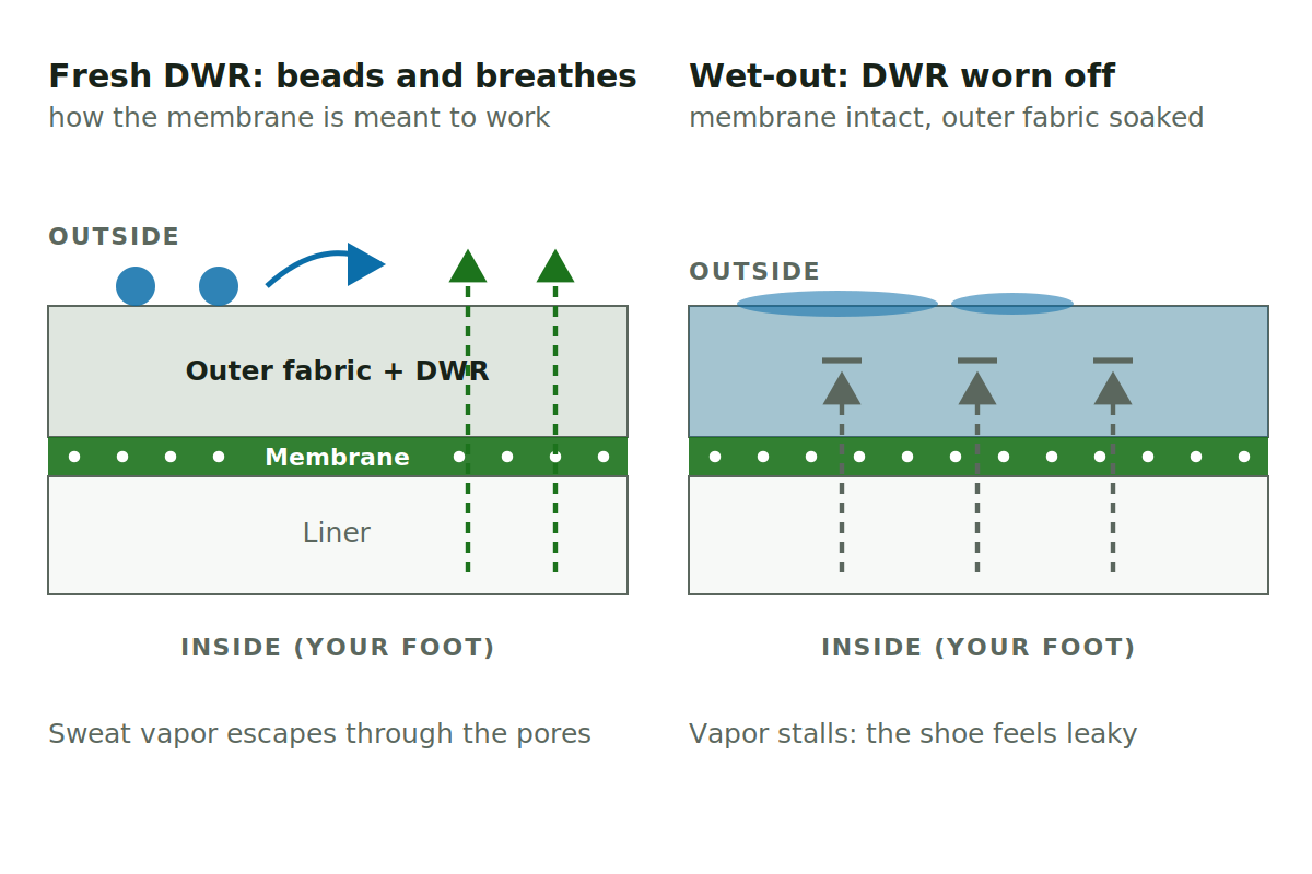 Hiking Terms: The Complete Trail & Gear Glossary. Two cross-sections of a waterproof upper, each with three layers: outer fabric with DWR, membrane, liner. In the first, water beads off the fabric and sweat vapor escapes up through the membrane pores. In the second the outer fabric is saturated and the vapor arrows stop behind it, even though the membrane still blocks liquid water