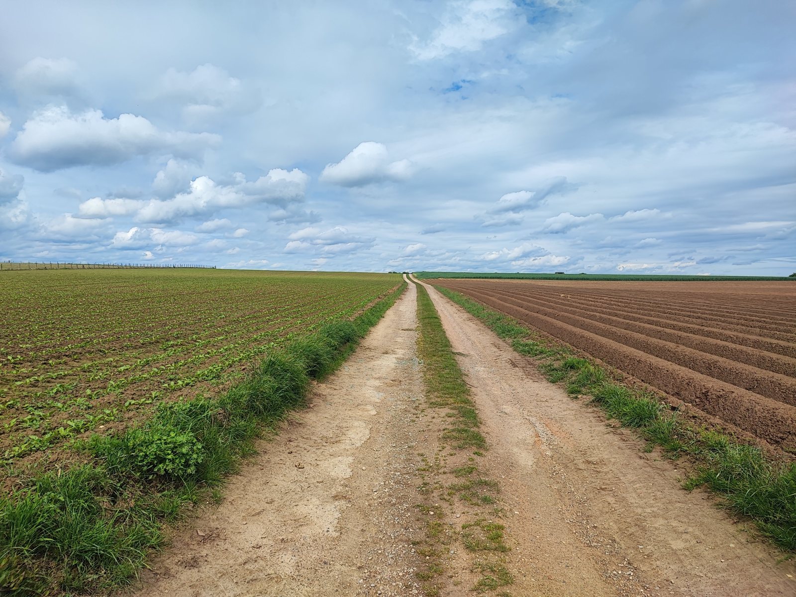 I Walked Four Days of the Pieterpad Without Booking a Single Bed Two tractor ruts running straight to the horizon across a ploughed field under a wide cloudy sky.