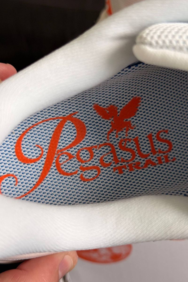 Nike ACG Pegasus Trail insole with ACG branding and cushioned footbed