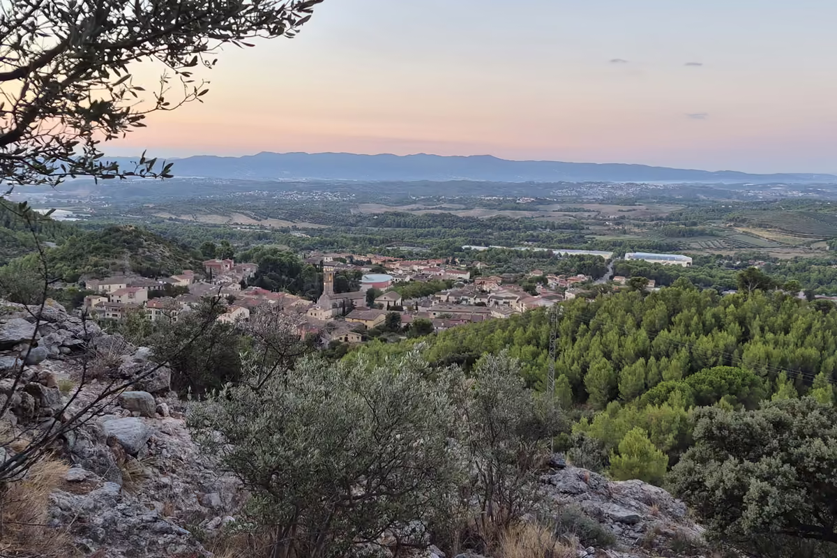 The village of Collbató and the plain beyond seen from the rocky slope above, with a pink dawn sky and pine woods in the foreground.