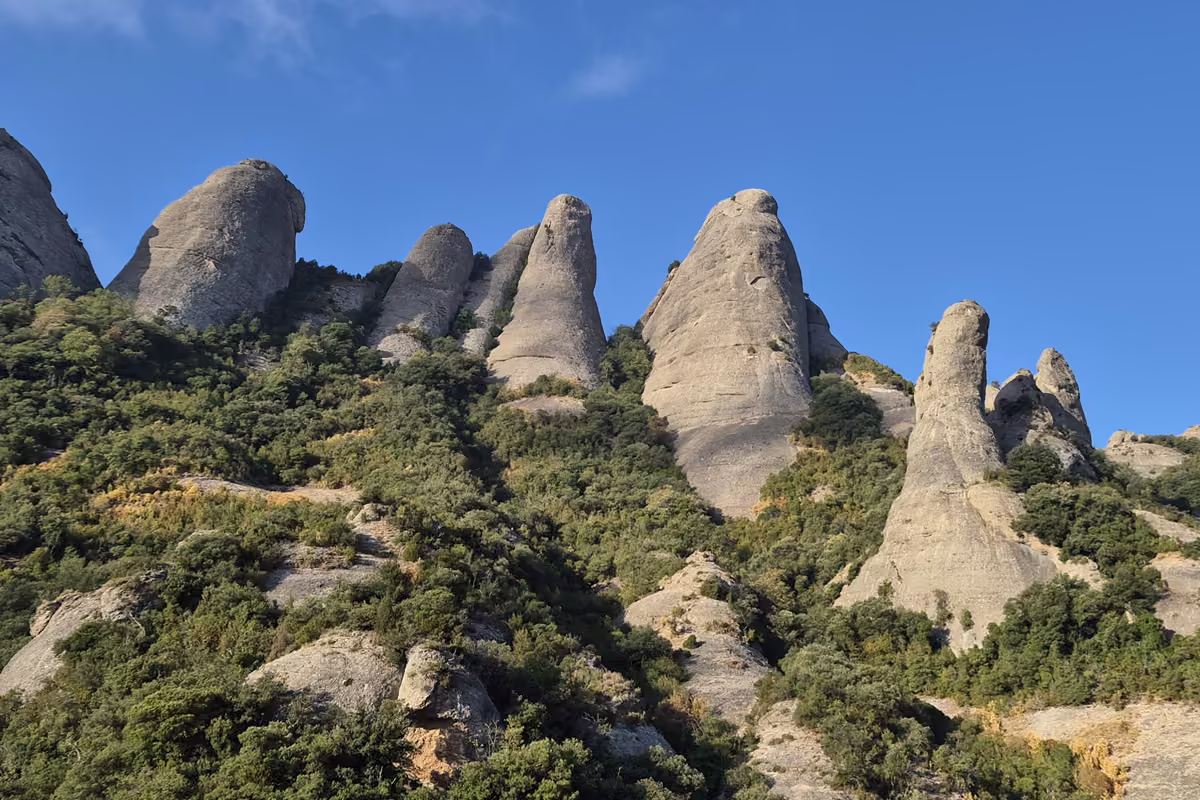 A row of rounded conglomerate needles of Montserrat rising above green scrub under a clear blue sky, seen from the Plaça de Santa Anna.