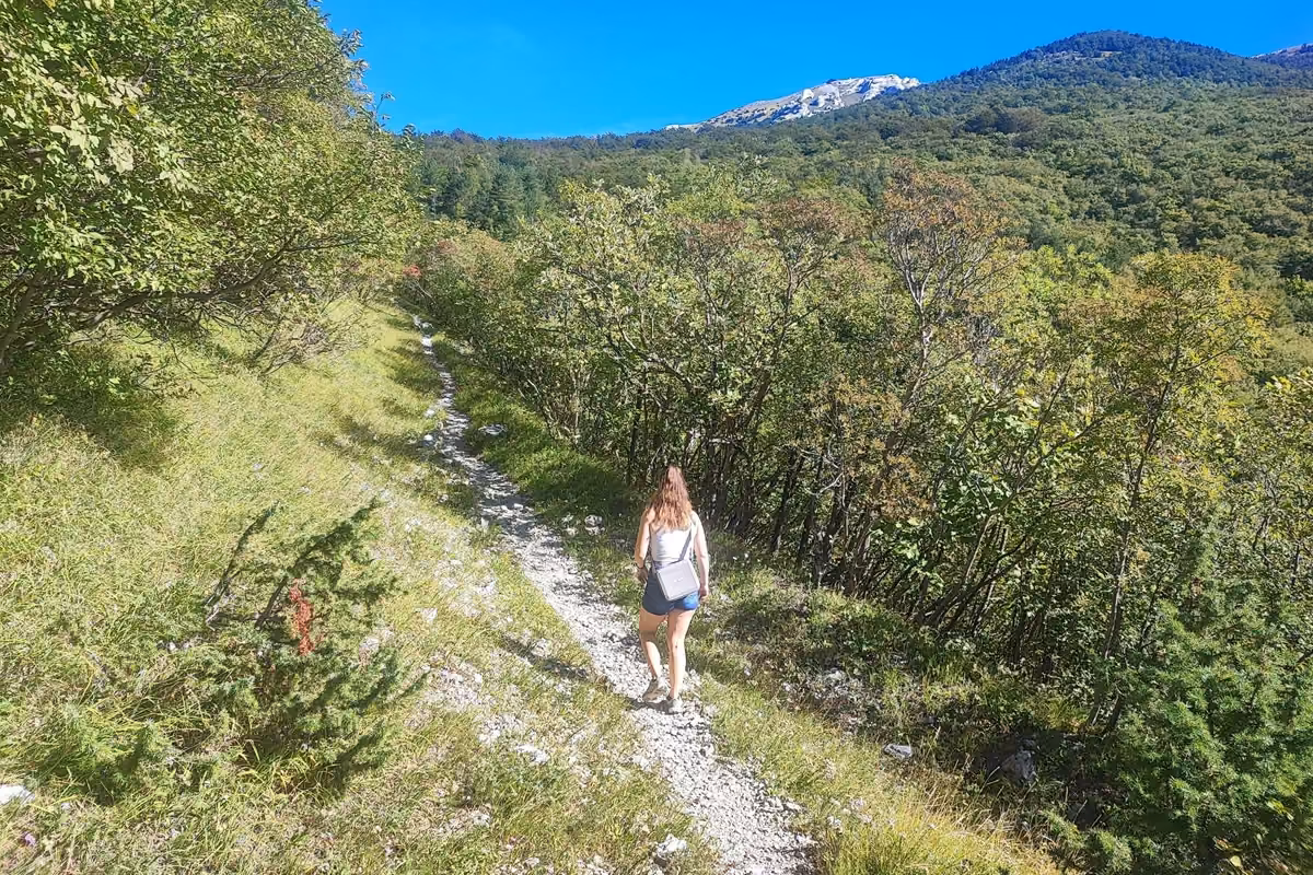 A hiker in shorts with a small shoulder bag walking a narrow gravel path through grass and low trees, with the rocky summit of Gola Plješivica above.