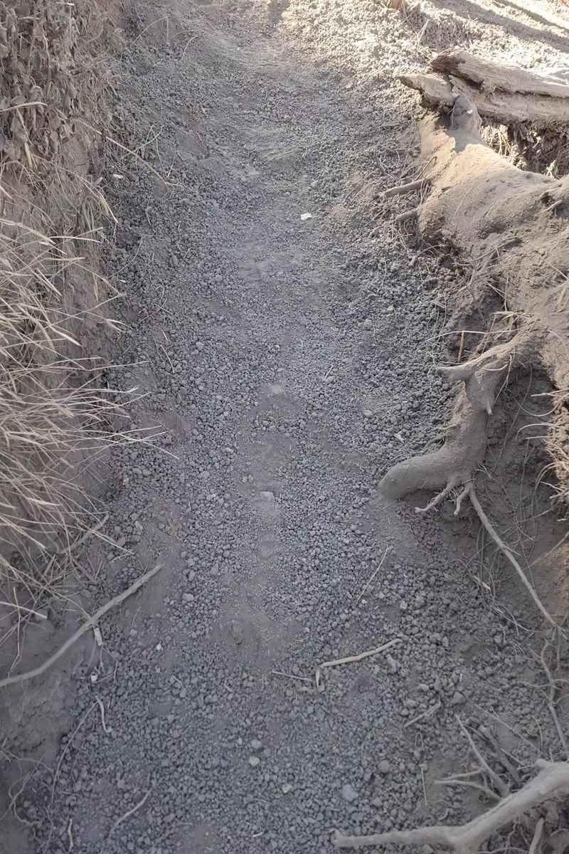 A narrow trail of loose grey dust and gravel climbing steeply between dry grass banks and exposed tree roots.