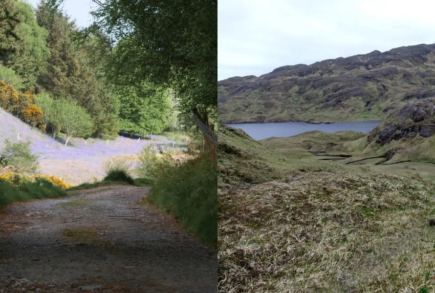 two examples of hiking trails where lightweight hiking boots are useful