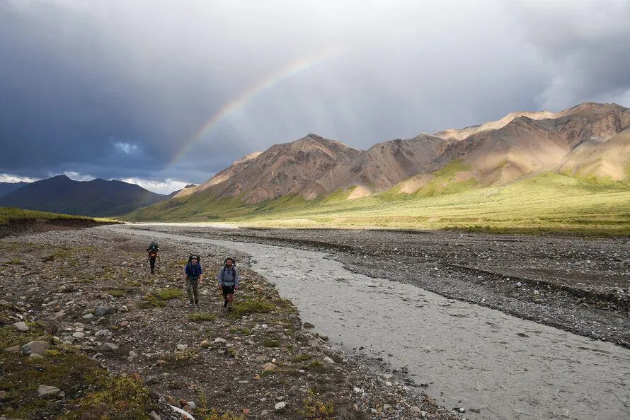 Hiking up the West Fork Upper Toklat. Denali National Park, Alaska