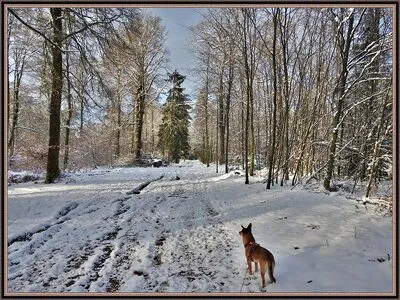 Are Duck Boots Good for Hiking? (Based on Our Experience) hunting wild ducks