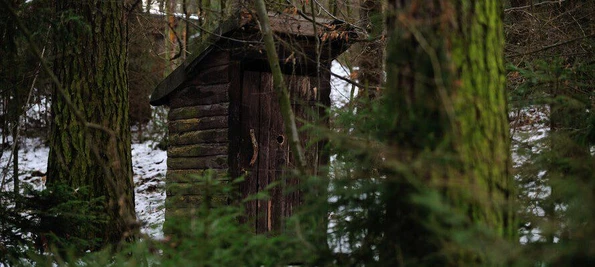 pooping in the woods