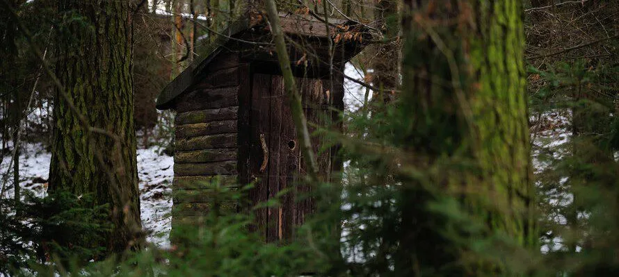 How to Poop in the Woods? (Nature’s Bathroom Solutions) pooping in the woods